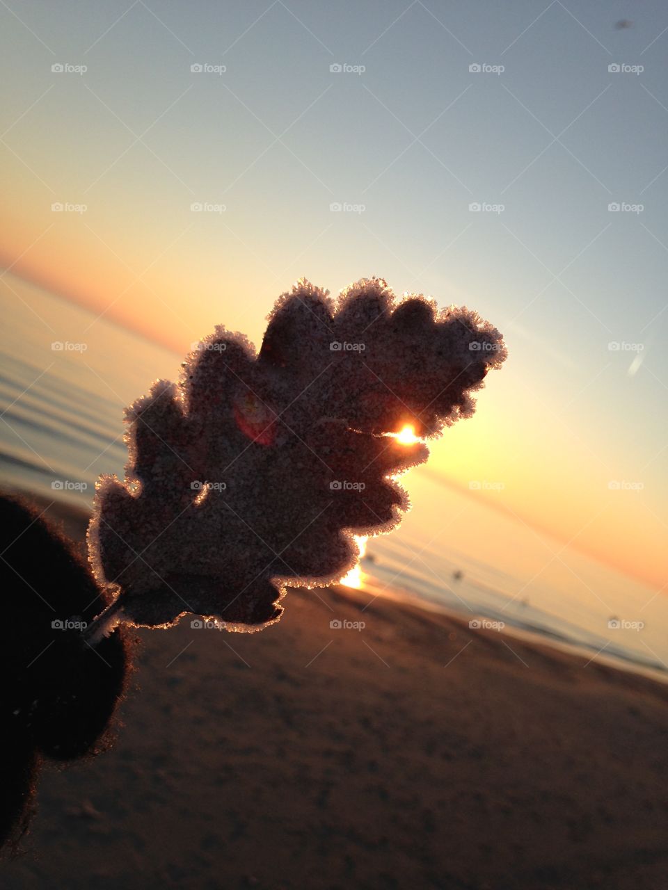 Sunset, Beach, Dawn, Landscape, No Person