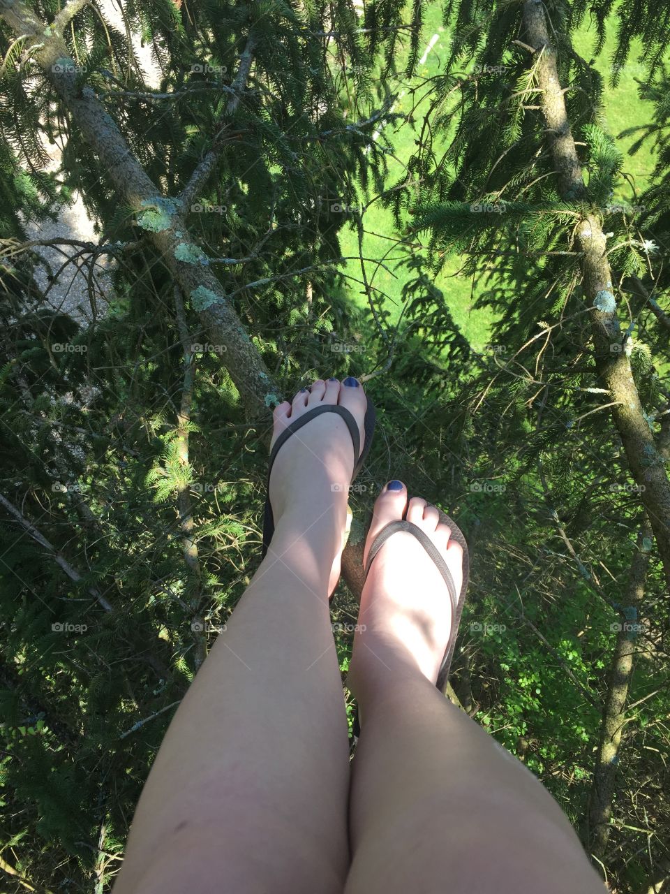 In a tree