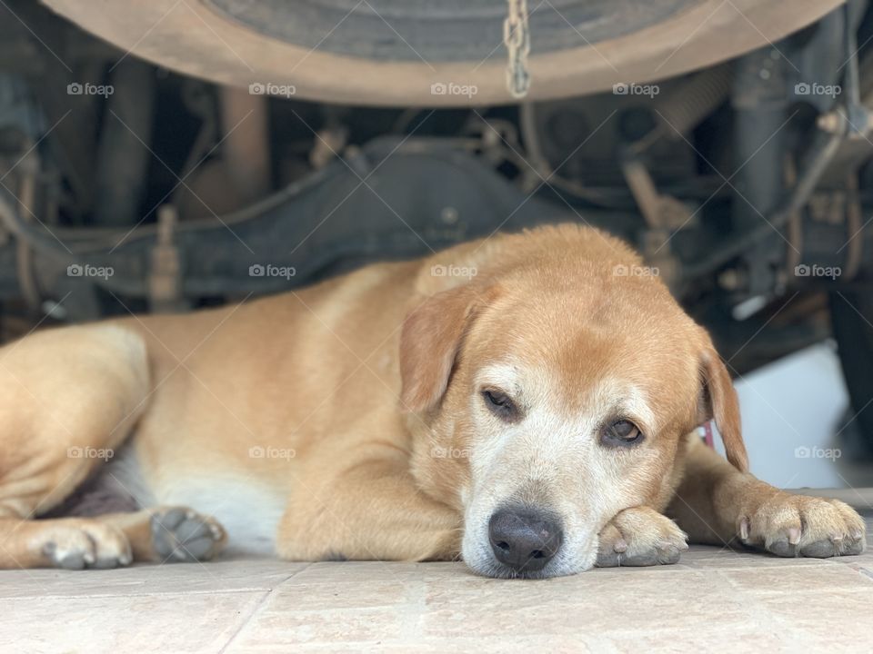 Just leave me alone human