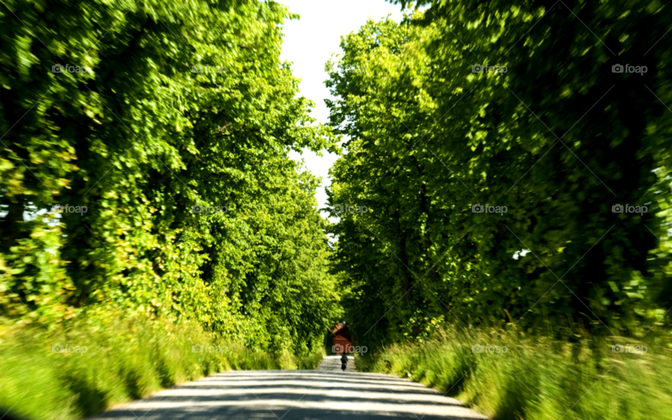 green summer sunny bike by dymling