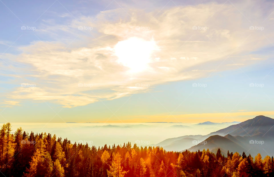 Foggy evening in autumn 