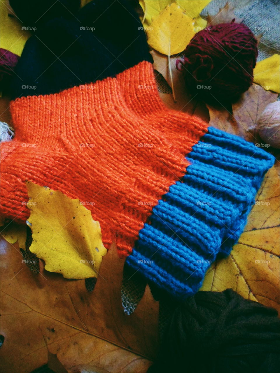 knitted warm socks and autumn leaves