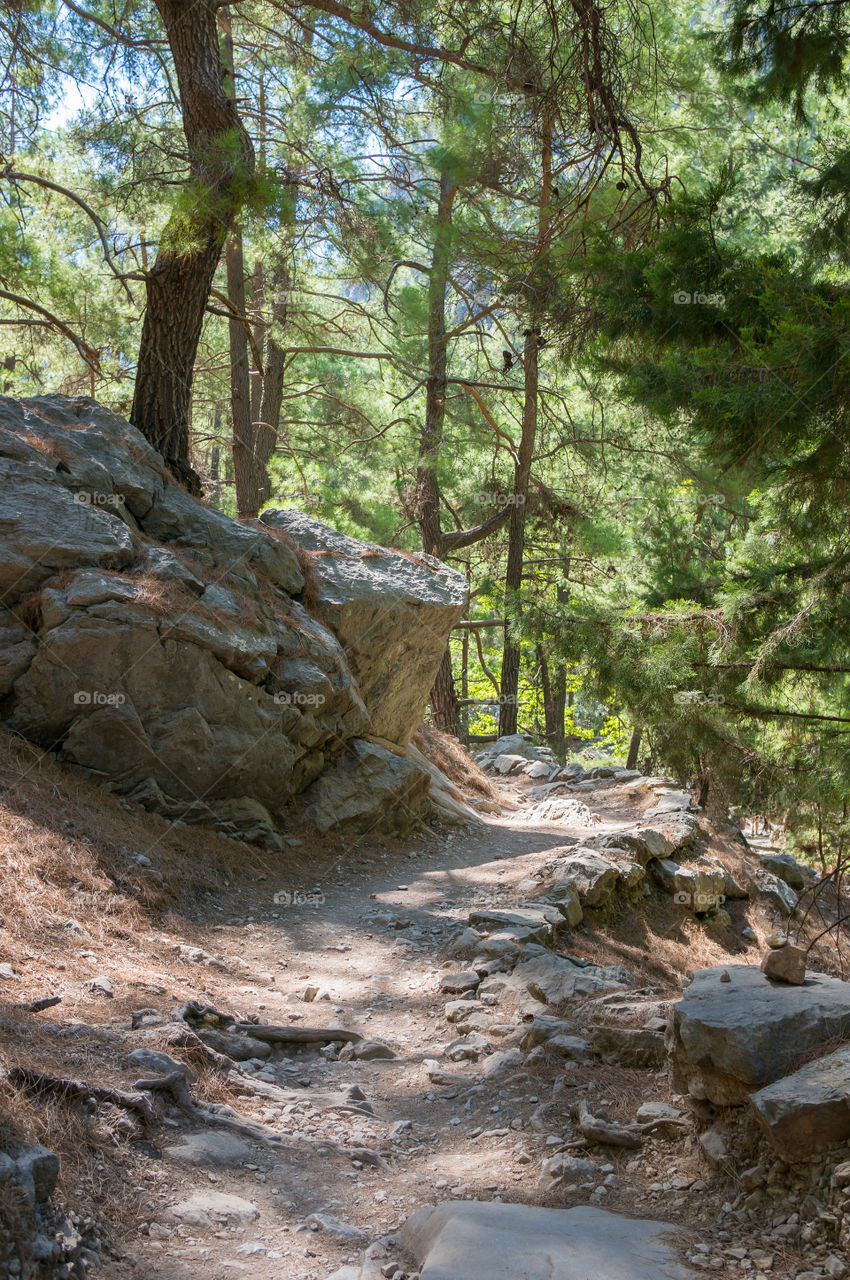 Footpath in samaria gorge