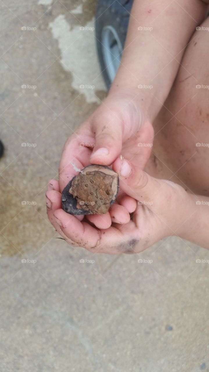 Boy holding toad