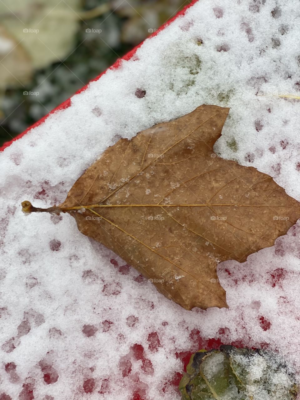 Rain and snow