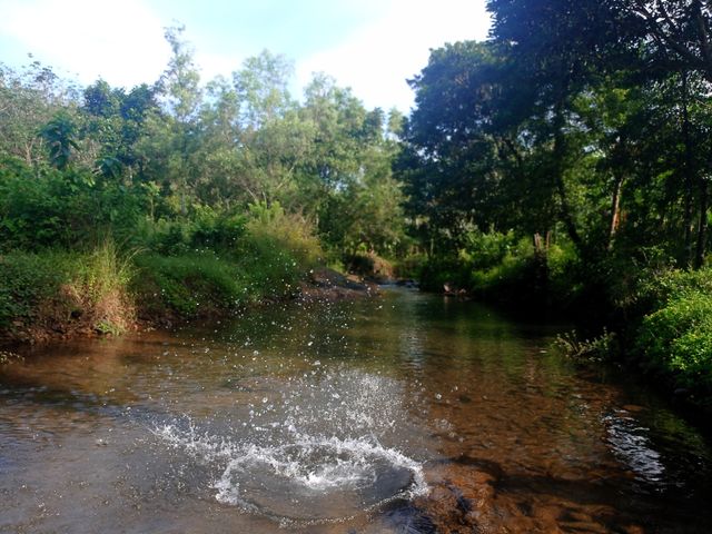 water