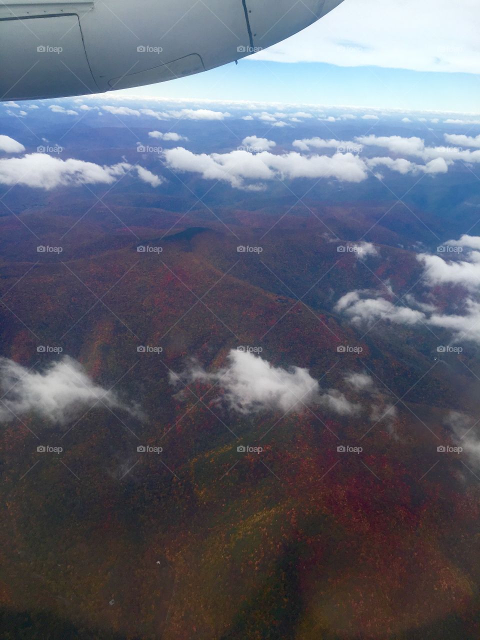 A final shot of the wonderful view of the foliage in Upstate NY from above.