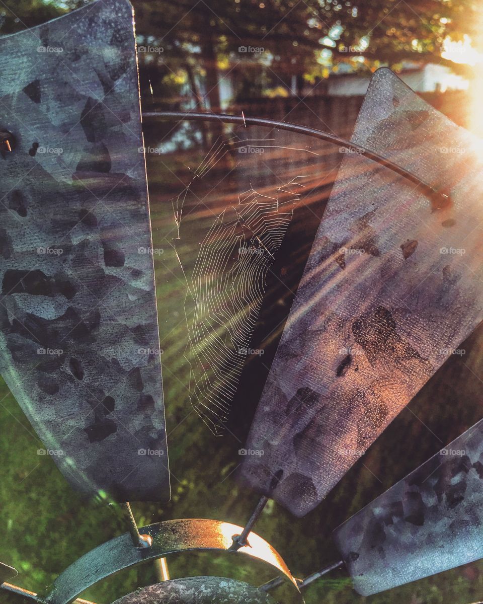 Morning rays revealing the work of nature’s web between two windmill blades 
