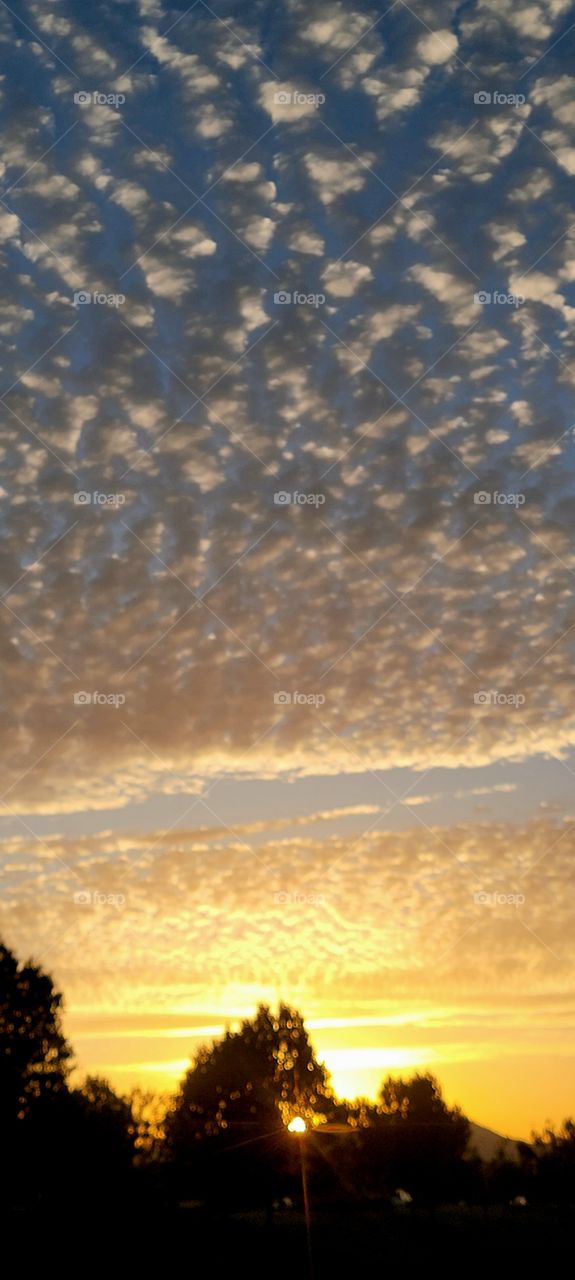 Beautiful Yellow Orange Sunset