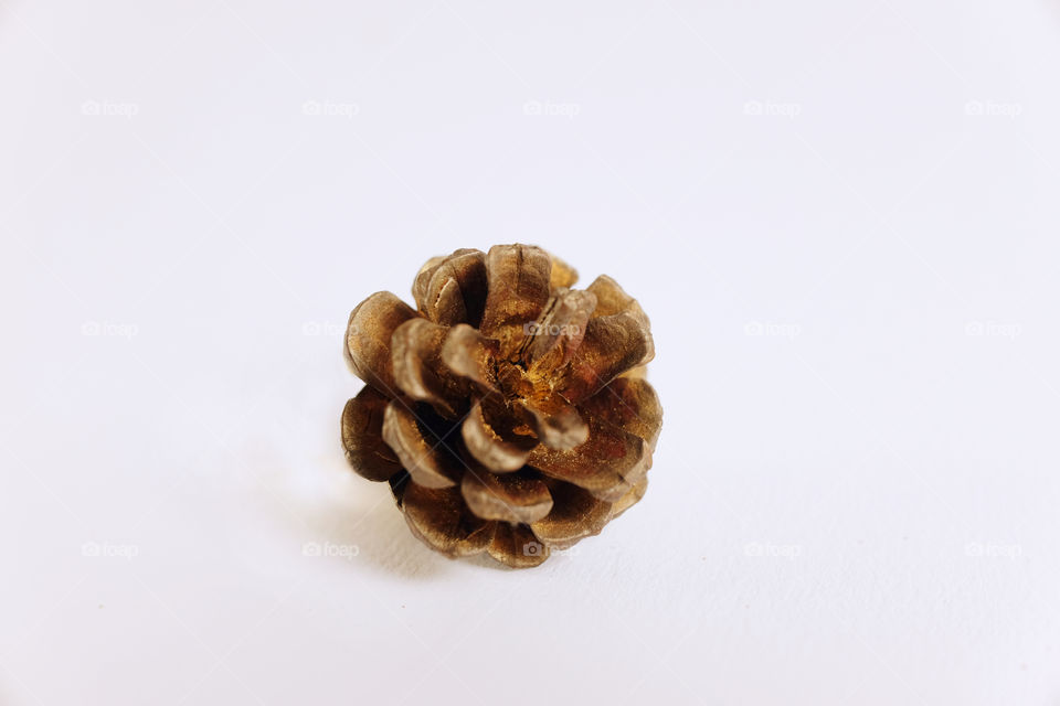 Chistmas decoration on isolate white background. Pine cone
