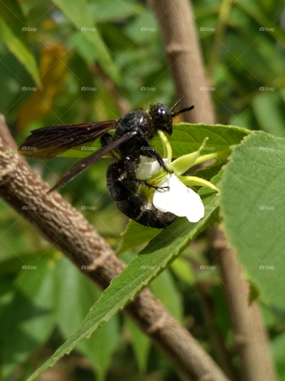 Black and White match combination