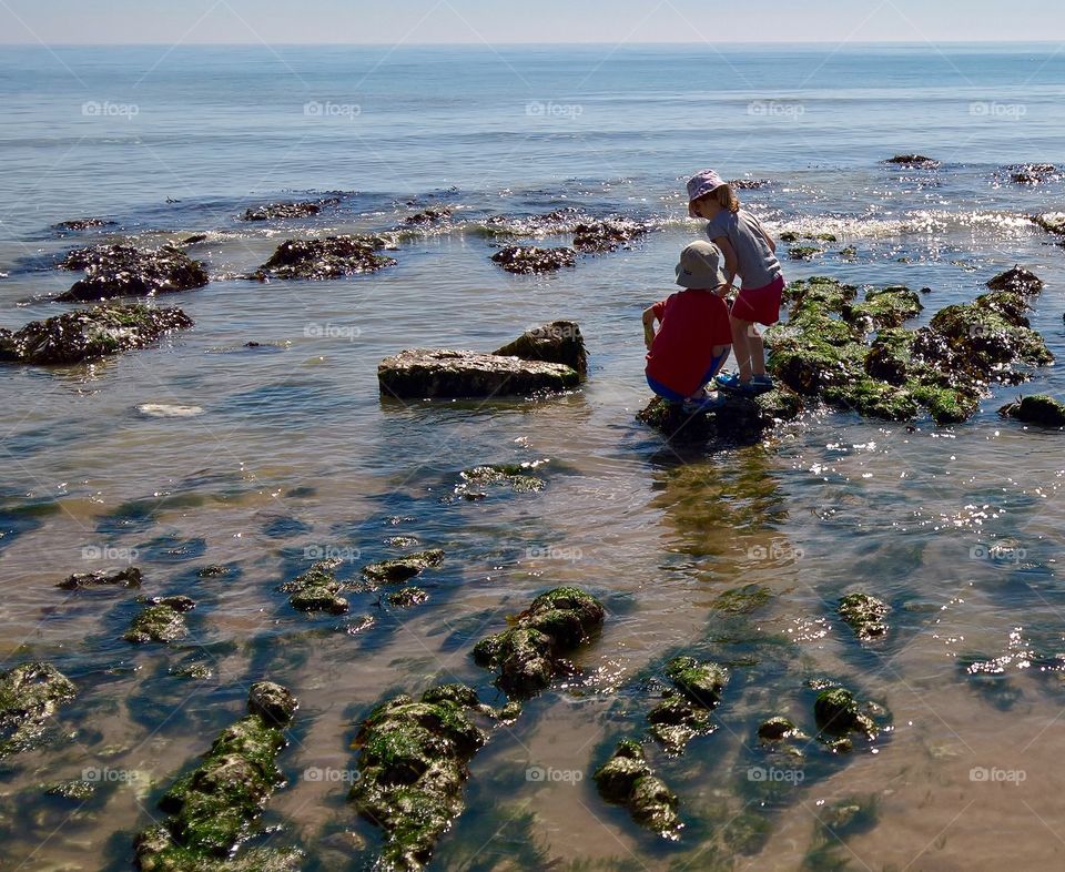 Searching the rock pools, Birling Gap, Sussex, England.  