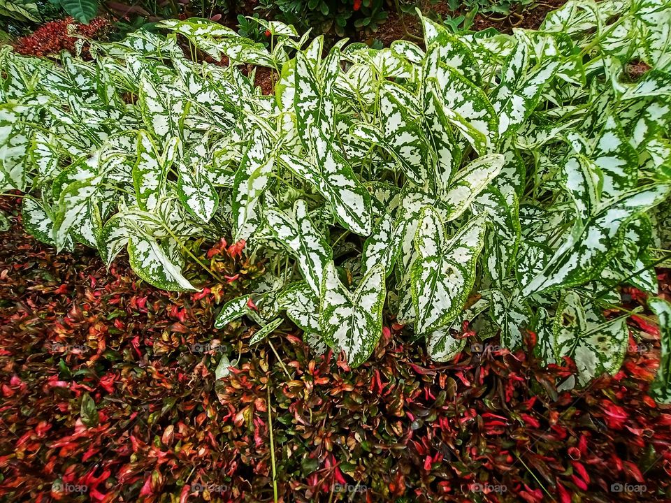 Do something green today