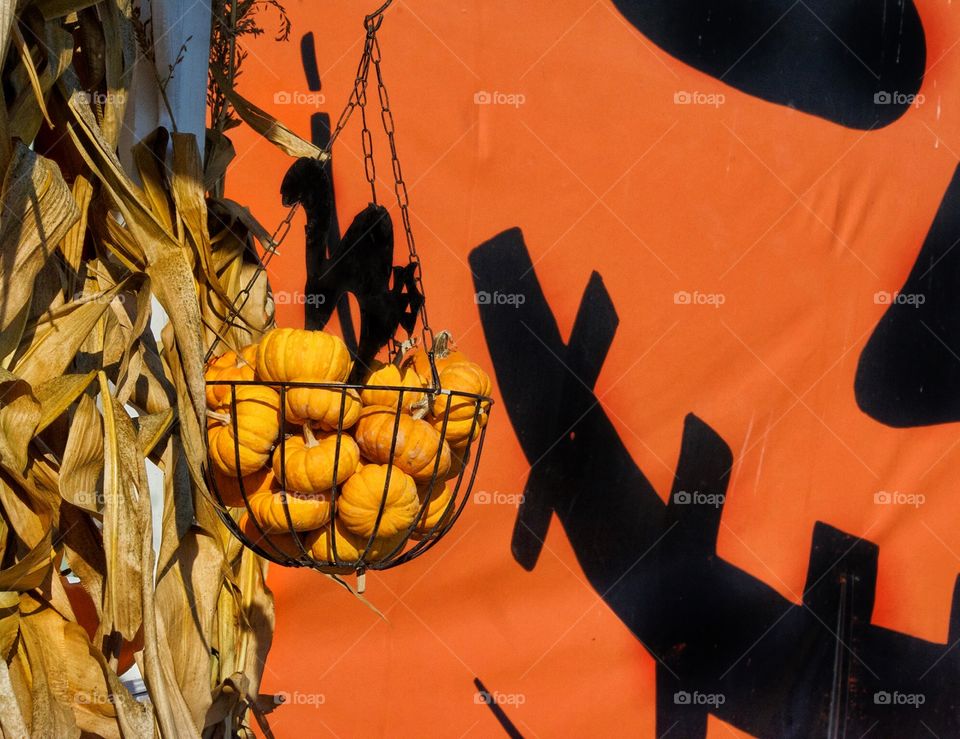 Halloween pumpkins