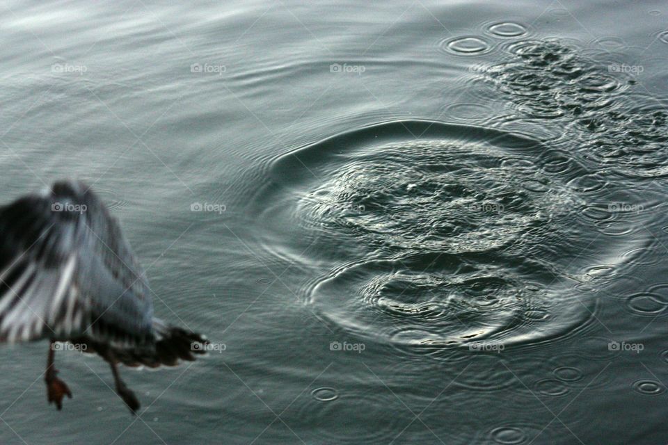 Ripples in water