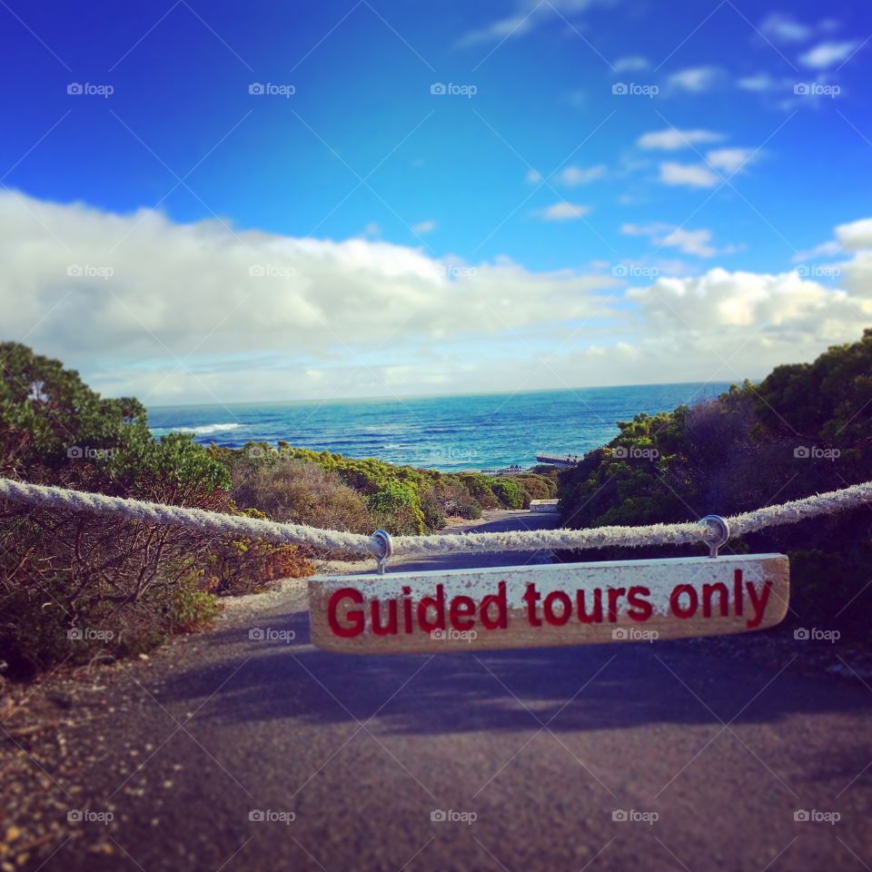 Guided tours only. Seal bay @ kangaroo island - Australia 