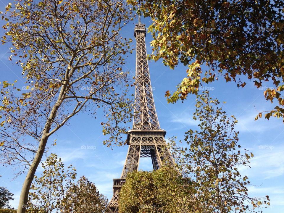 Spring Eiffel Tower  in Paris 