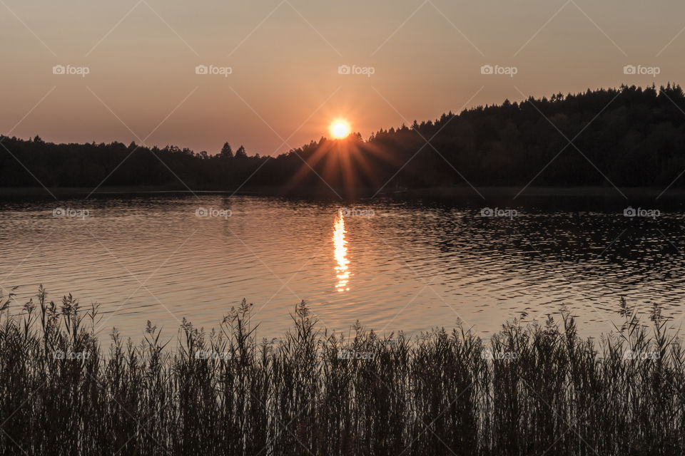 Colorful sunset in the forest, sunlight reflection in the lake 