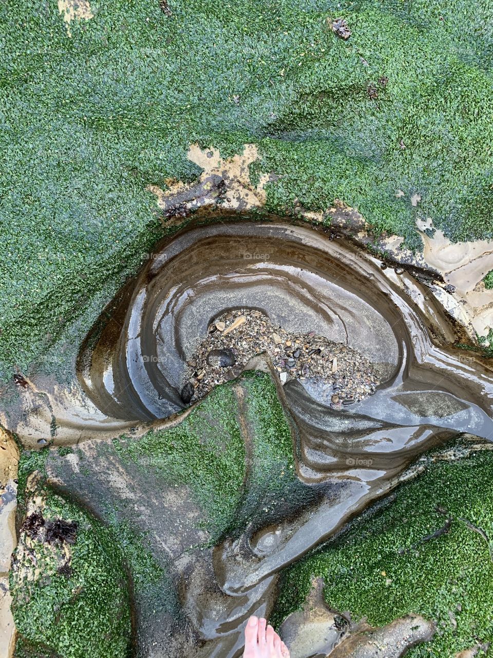 Ocean formed swirl in green, mossy rock