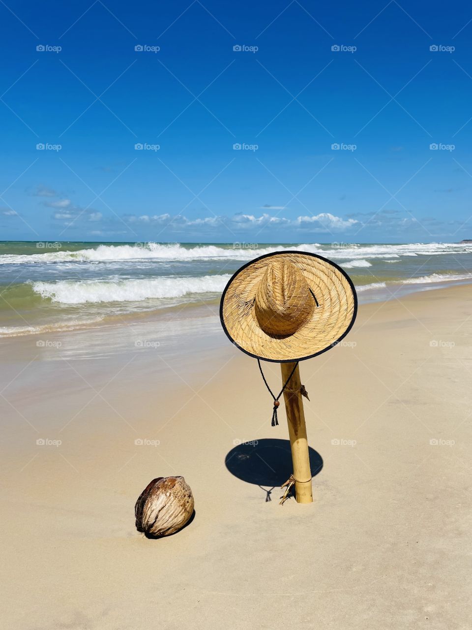 Beach, coconut, sun and sea