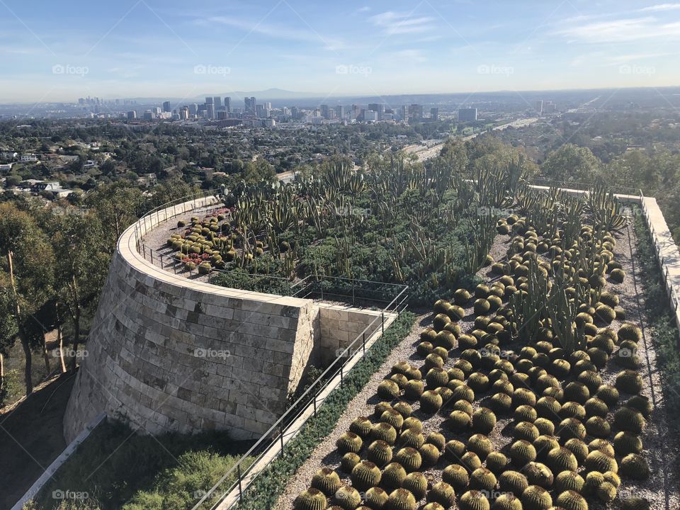 Getty museum cactus garden with Los Angeles view