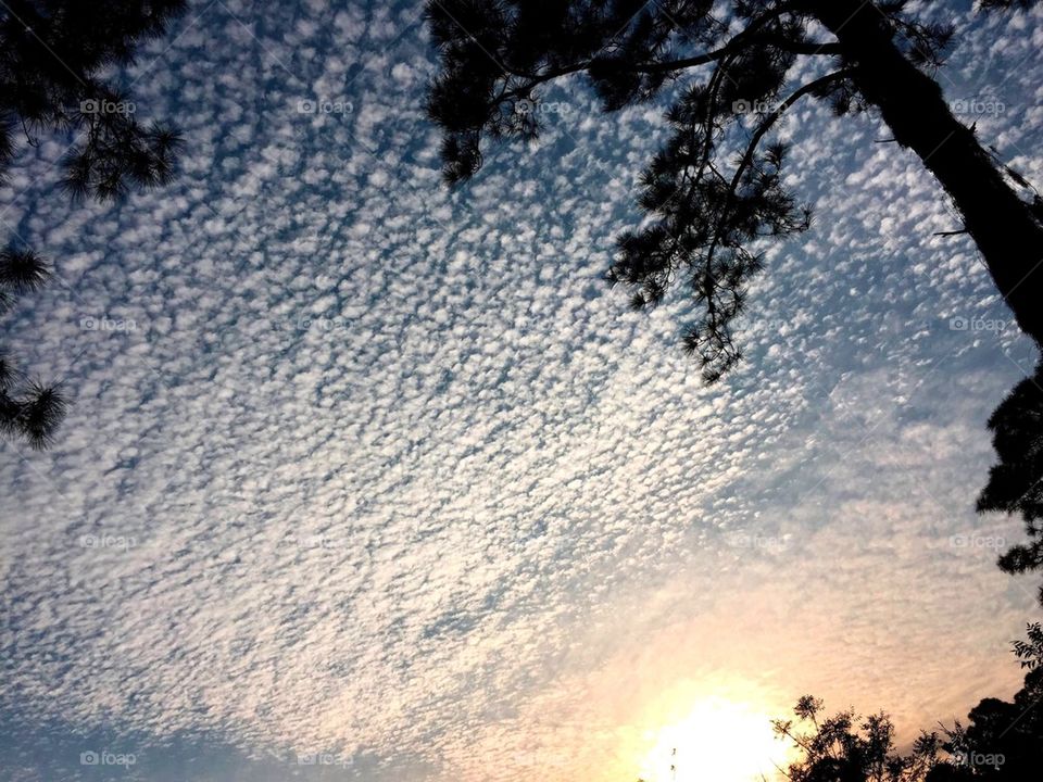 Cloud patterns and sun