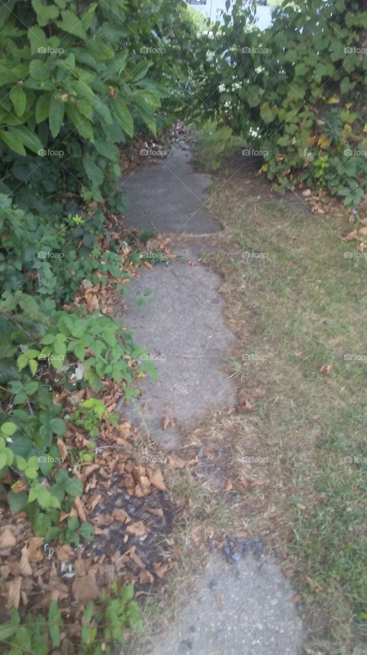 abandoned sidewalk