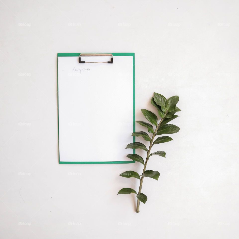 A folder with a white paper and greenery