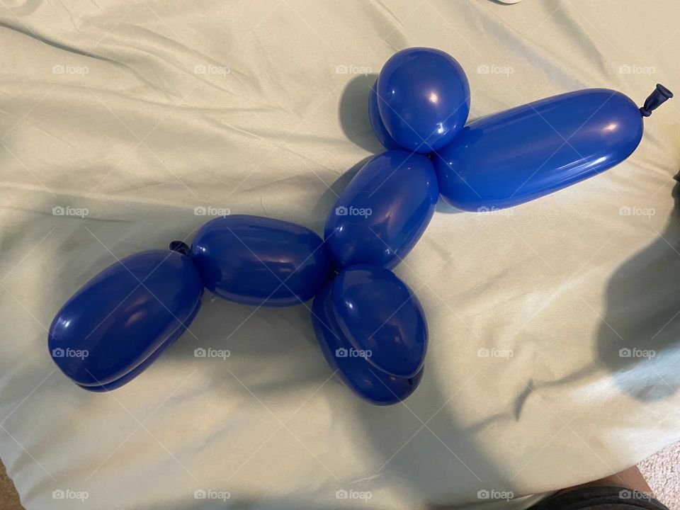 Balloon dog 