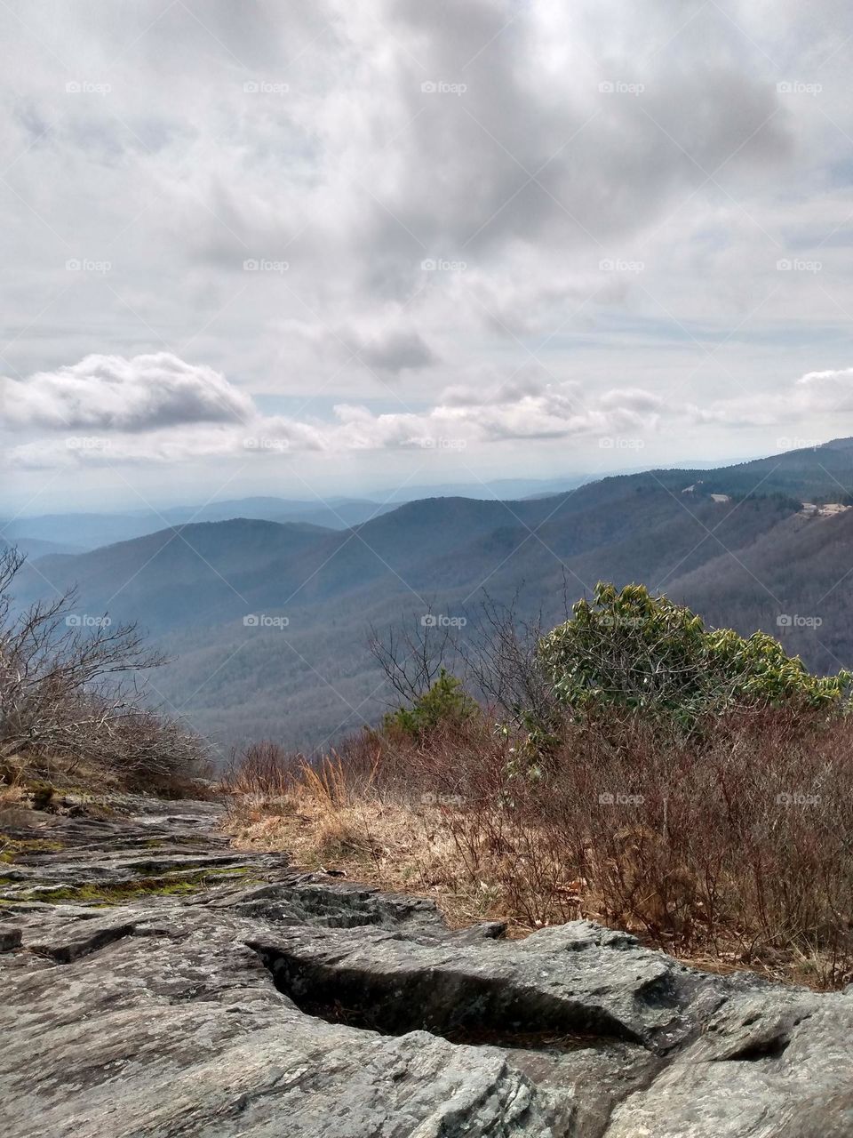 Vista views to bring in spring