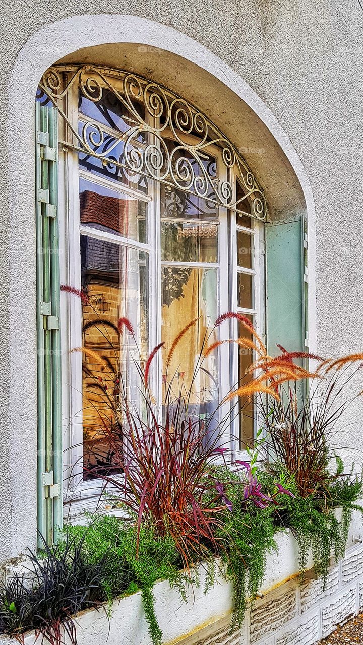 French window with flowers