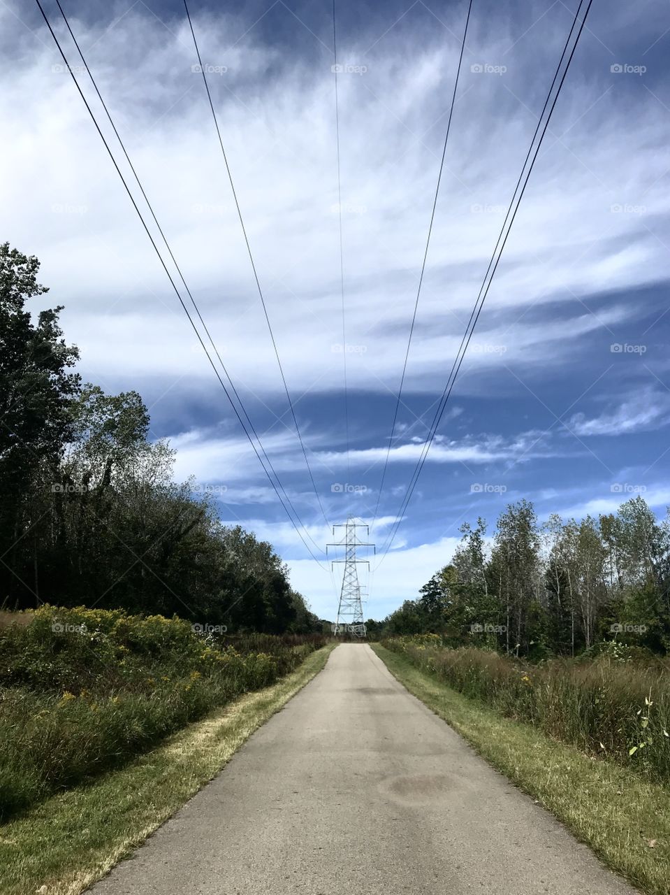 Electronics in Nature