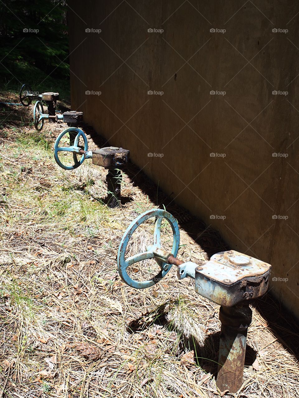 A row of old pipe valves at the Wizard Falls Fish Hatchery on the Metolius River on a sunny summer day. 
