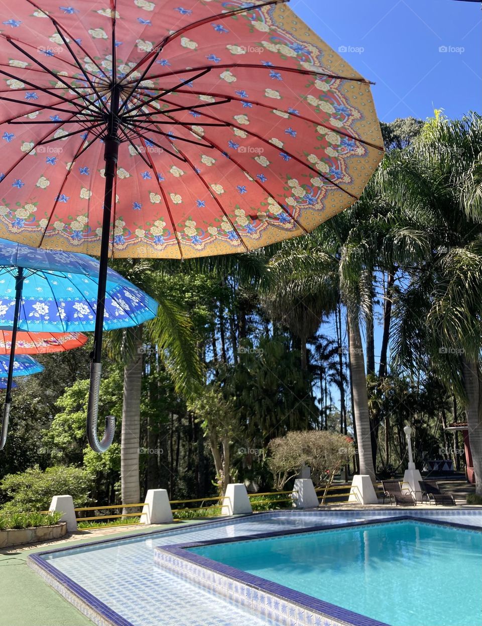 Hoje, um merecido descanso na “Rota do Vinho”, em São Roque-SP.
A preguiça fala mais alto por aqui.