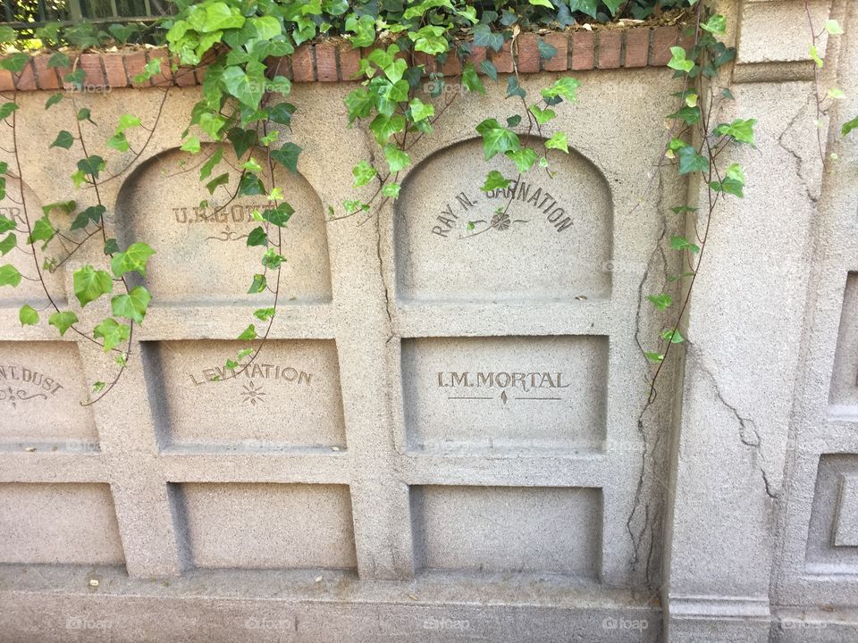 The Haunted Mansion at Disneyland. In Anaheim, California. Pet Cemetery and Immortal Cemetery. No Time in This Realm. Copyright Chelsea Merkley Photography 2019.