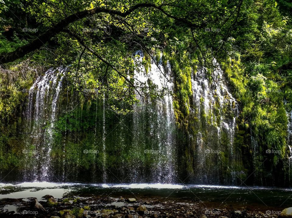 Mossbrae Falls.   Dunsmuir, California. 