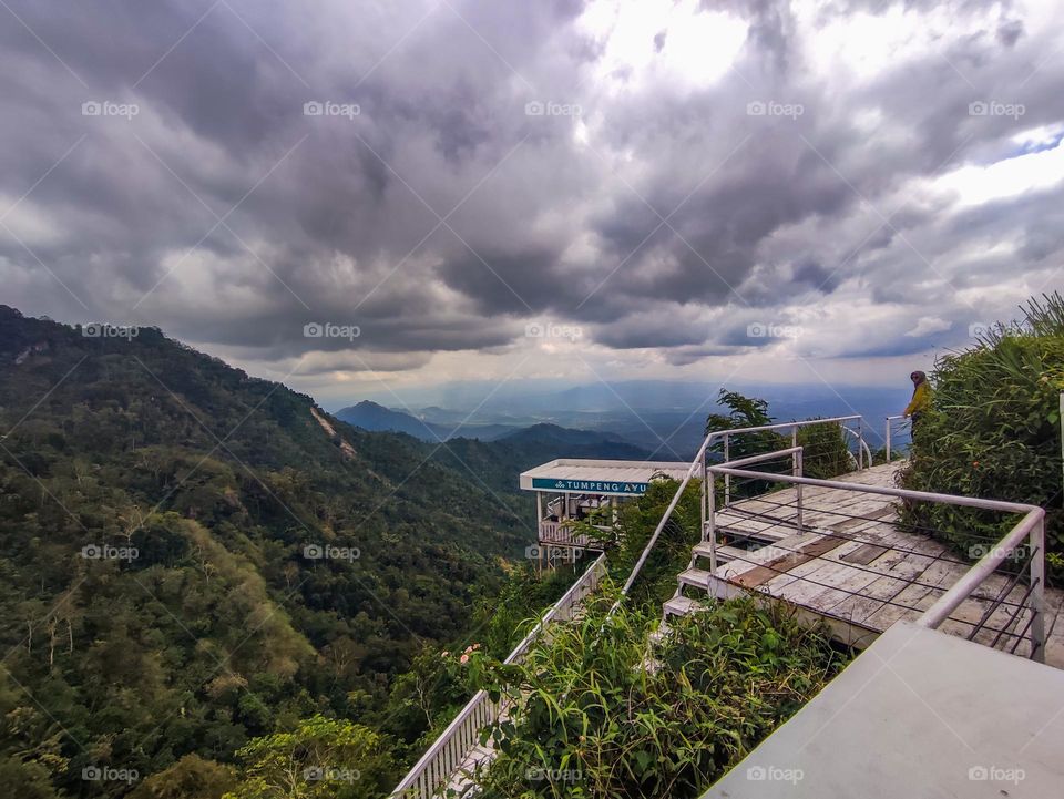 House in the middle of the forest