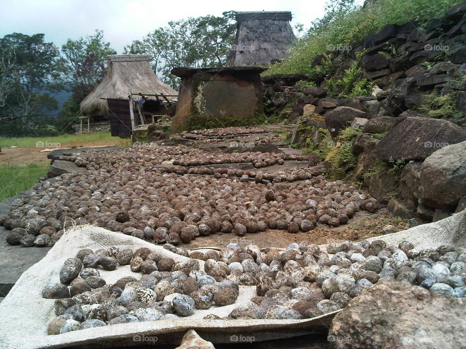 Wologai Traditional Village