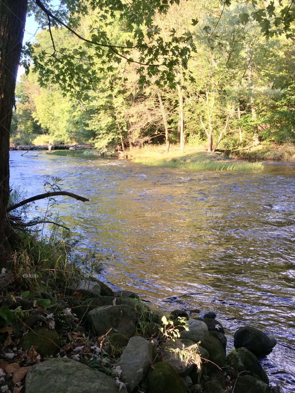 Trout stream , Volant Pennsylvania.. 
