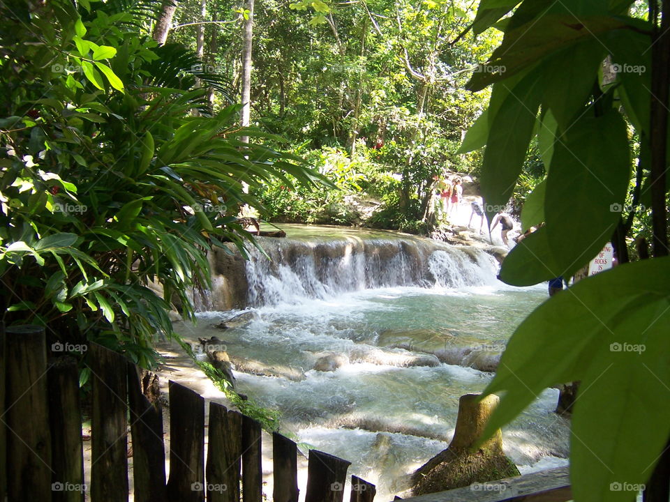 Jamaican waterfall. Vacationing in Jamaica climbing a 100 foot waterfall