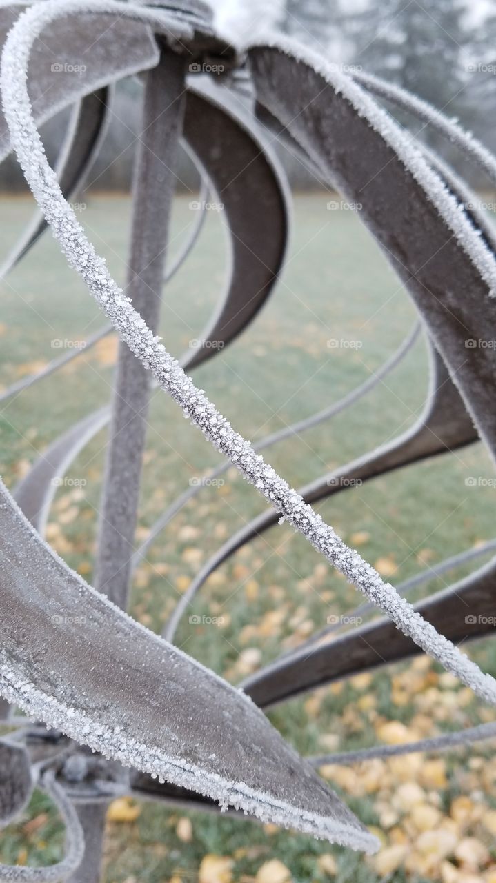 first frost