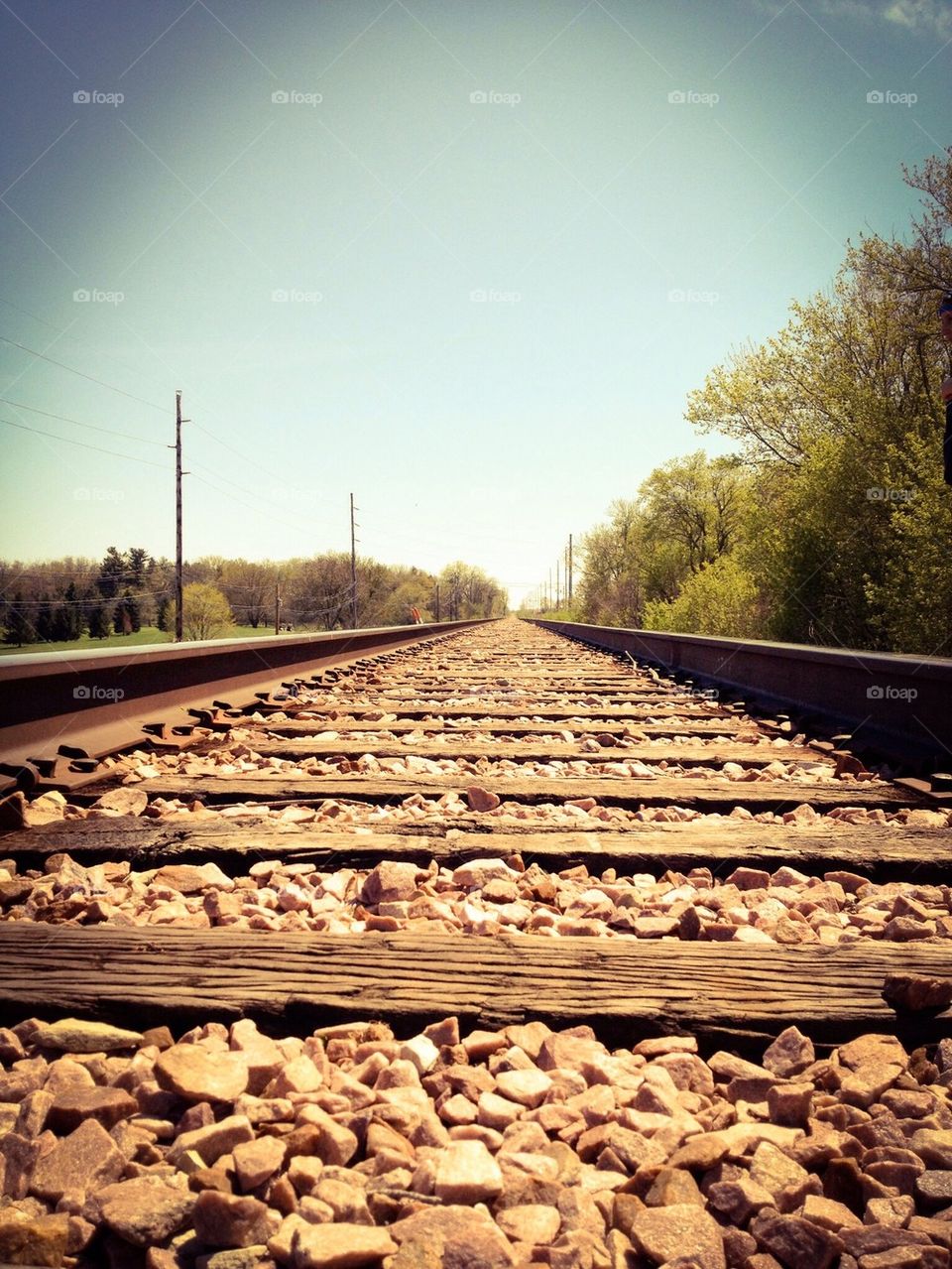 Late Summer Train Track