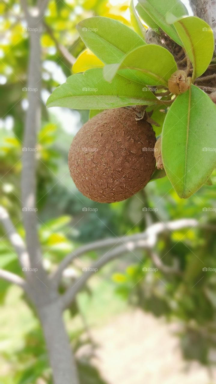 nature pictures  click by @divy.gahelot