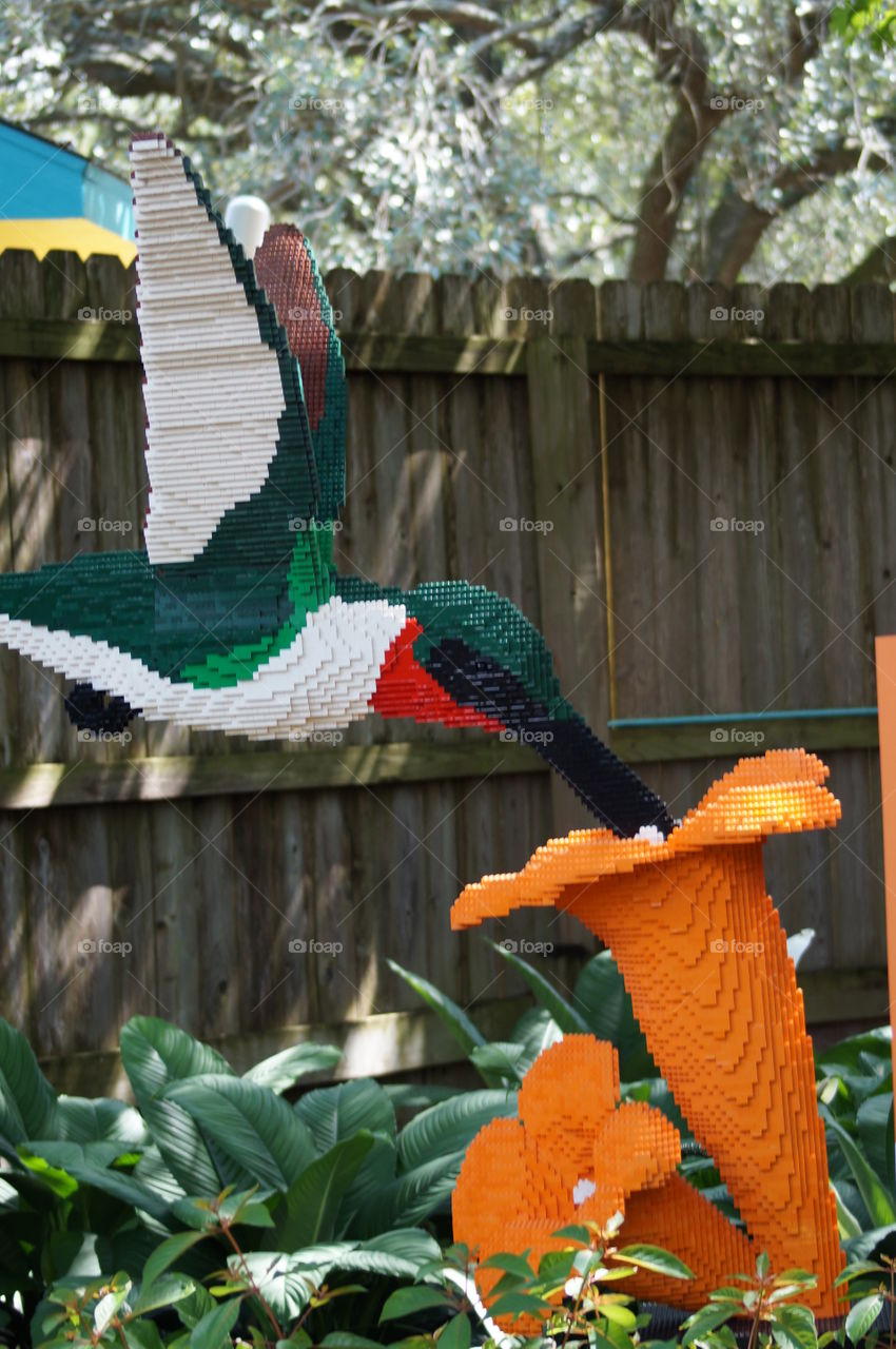 Houston Zoo
Lego exhibit hummingbird
