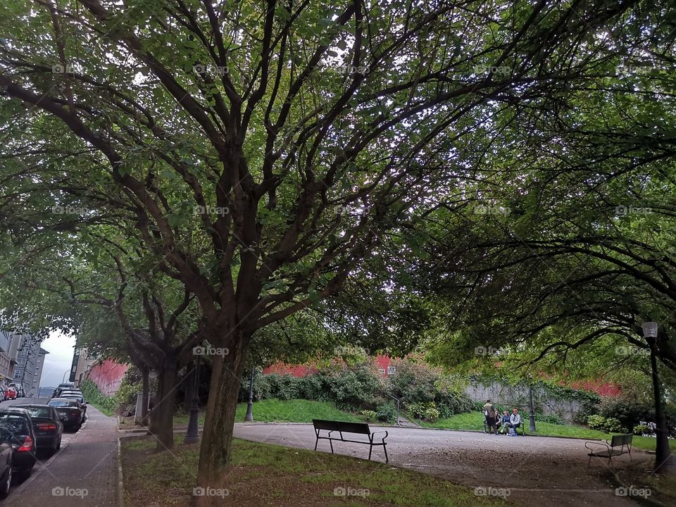 Plaza con árboles y banquito