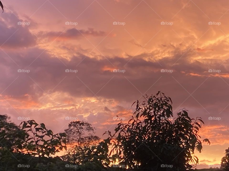 Paisagem de silhuetas de árvores com céu com nuvens avermelhadas no fundo. Entardecer colorido.