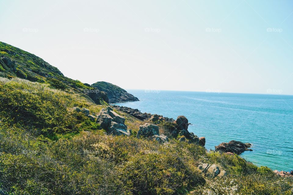 Seashore, Sea, Landscape, Water, Beach