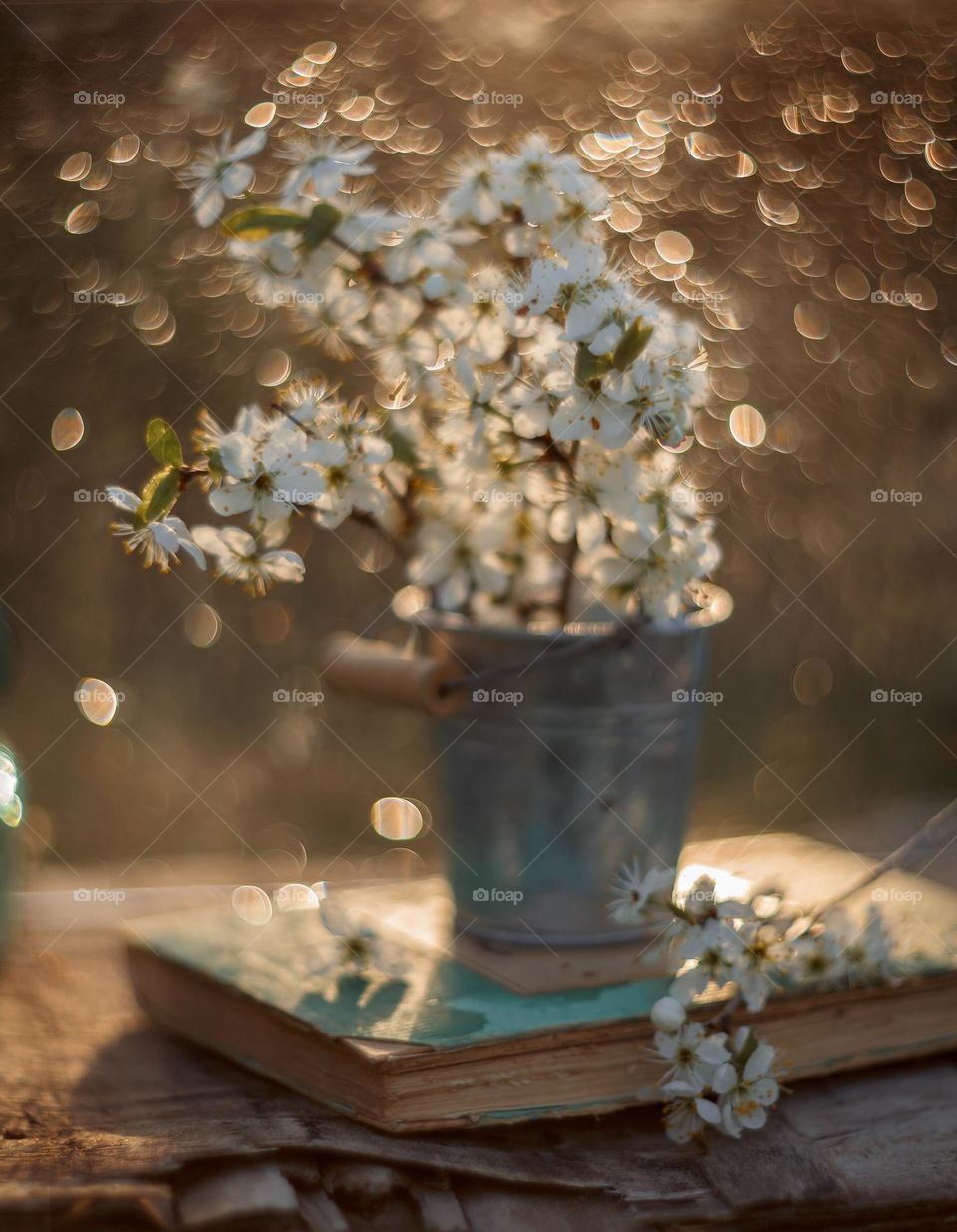Cherry blossom branch with light sparkle. Manual helios lense