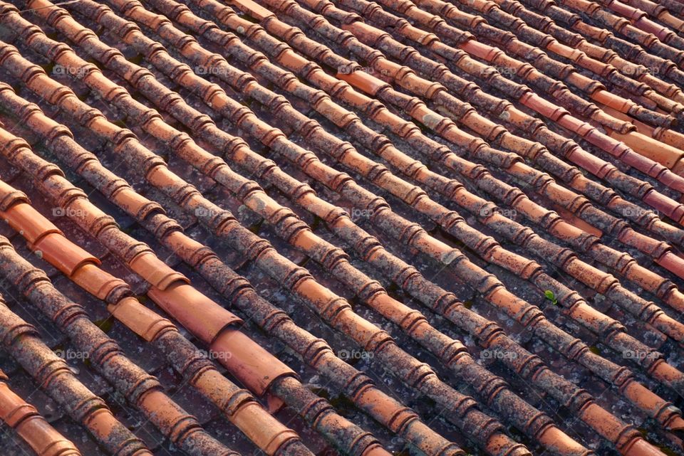 Vintage Tile Roof