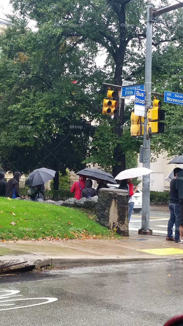 people crowd under umbrellas as they wait for the bus in Pittsburgh